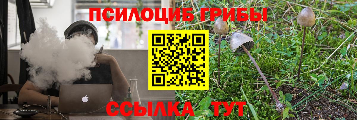 Псилоцибиновые грибы мицелий Орёл