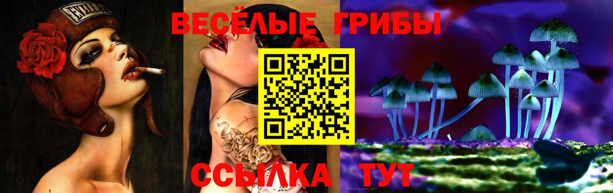наркошоп  Вход с VPN  Псилоцибиновые грибы MAGIC MUSHROOMS  Орёл  Галлюциногенные грибы ЛСД 