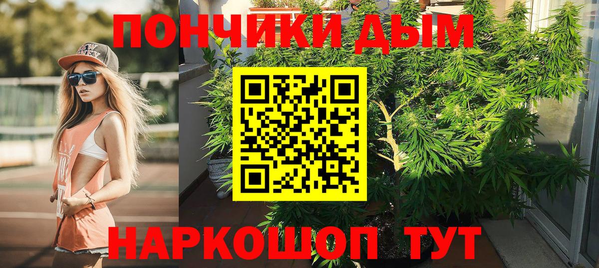 Конопля конопля Орёл